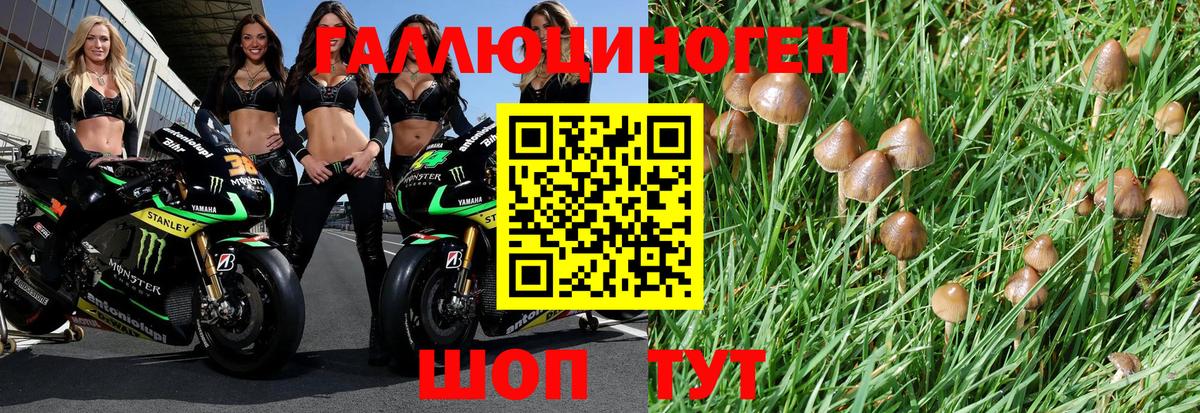 Псилоцибиновые грибы Magic Shrooms  хочу   Урюпинск  Вход с VPN 