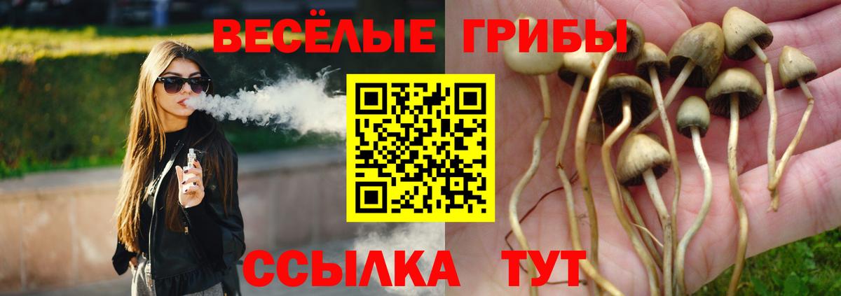 Галлюциногенные грибы Psilocybe Урюпинск